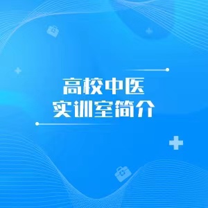 “高校中医实训室简介