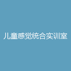 “儿童运动疗法实训室