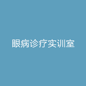 眼病诊疗实训室