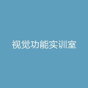 视觉功能实训室