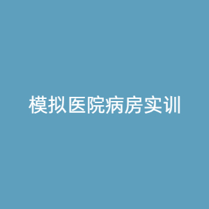 “模拟医院病房实训
